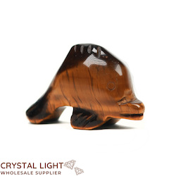 Animals: Tigers Eye Dolphin