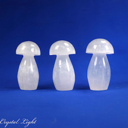 Selenite: Selenite Mushroom (6cm)