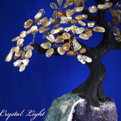 Large/Extra Large Trees: Citrine Druse Tree (Single)