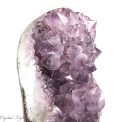 Auctions: Amethyst Druse on Stand