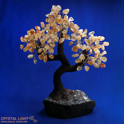 Large/Extra Large Trees: Citrine Druse Tree (Single)