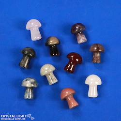 Mushrooms: Mini Mushroom Lot