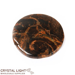 Petrified Wood: Petrified Wood Coaster