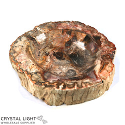 Petrified Wood: Pertrified Wood Bowl