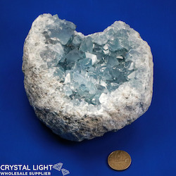 Auctions: Celestite Cluster