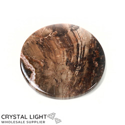 Coasters: Petrified Wood Coaster