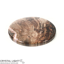 Coasters: Petrified Wood Coaster