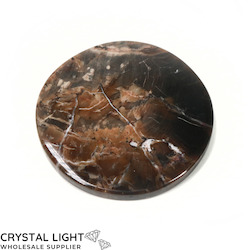 Coasters: Petrified Wood Coaster