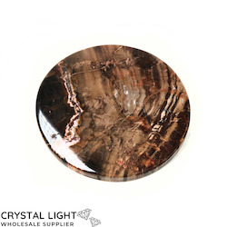 Coasters: Petrified Wood Coaster