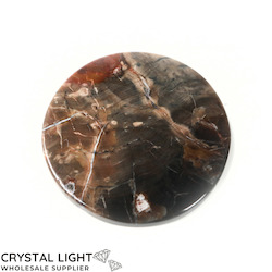 Coasters: Petrified Wood Coaster