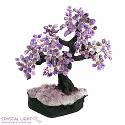 Large/Extra Large Trees: Amethyst Druse Tree (Single)