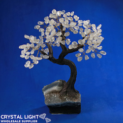 Large/Extra Large Trees: Clear Quartz Druse Tree (Single)