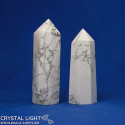 Polished Point Lots: Howlite Point Lot