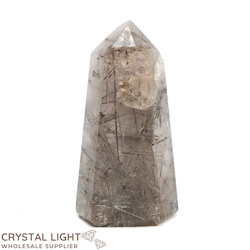 Single Point Listings: Tourmalated Quartz Point