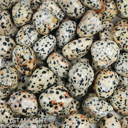 Tumbles by Weight: Dalmatian Jasper Tumble