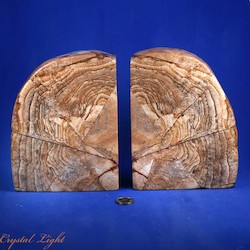 Auctions: Picture Jasper Bookends
