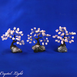 Small/Extra Small Trees: Rose Quartz Druse Tree