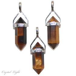 Terminated Pendant: Tiger's Eye Pendant Short Sterling Silver