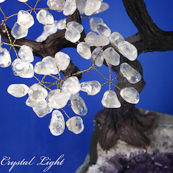 Large/Extra Large Trees: Clear Quartz Druse Tree (Single)