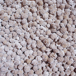 Desert Rose: Desert Rose Tiny /100g